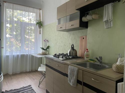 Sunny 1 Br Apt in Center Next to Park, Ryga (zdjęcie 8)