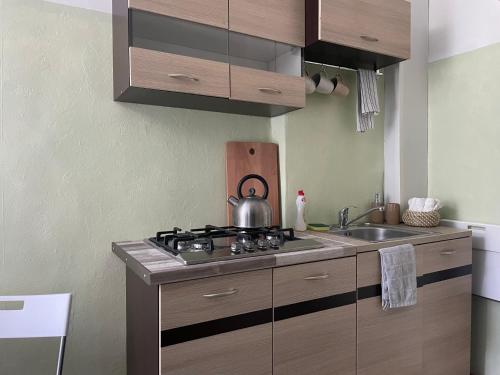 Sunny 1 Br Apt in Center Next to Park, Ryga (zdjęcie 9)