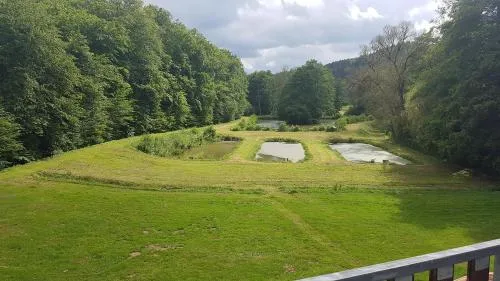 Pulgersmühle, EG in Altstrimmig, Deutschland