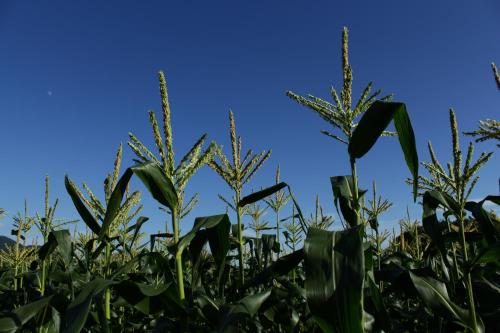 八ヶ岳グレイスホテル