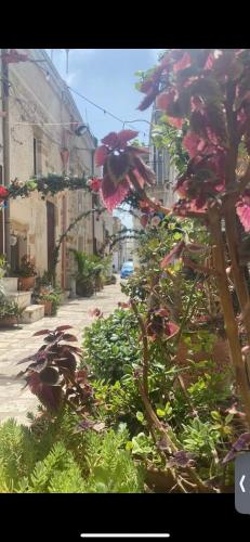  VICO LUXURY ROOM in Mesagne