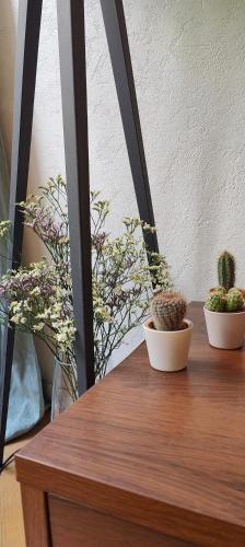 Your lovely parisian 2 rooms apartment with private terrace - Jourdain, Paris (Foto 6)