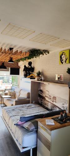 Saltillo Alto Boutique Studio