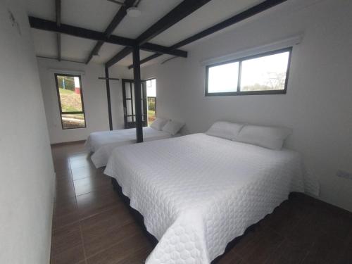 1 queen bed, 1 sofa bed
