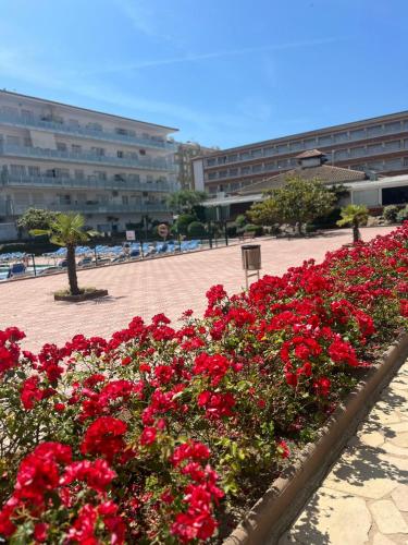 ทัศนียภาพภายนอกโรงแรม, APCOSTAS Els Pins Lotus in บลาเนส