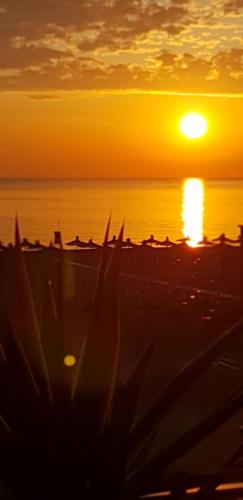 playa, Signora Irma in Margherita di Savoia