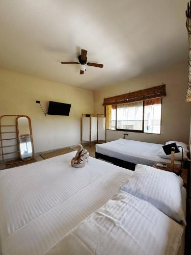 Hostel 3B Room Type - Premium Quadruple Room