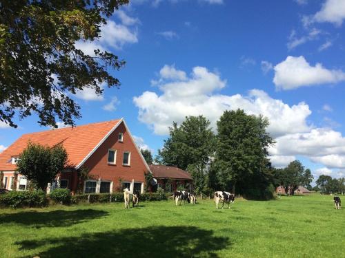 Tolles Ferienhaus für 18 Personen in Ostfriesland mit Kino, Bar, Sauna und Whirlpool - a57587