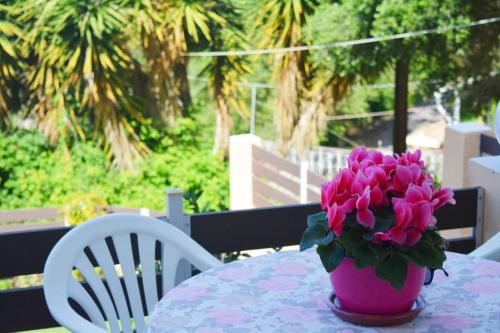 Anna's Ground floor apartment 3