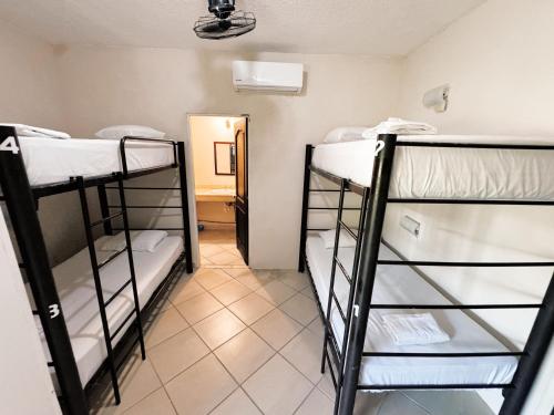 Hostel 3B Room Type - Bed in 6-Bed Female Dormitory Room