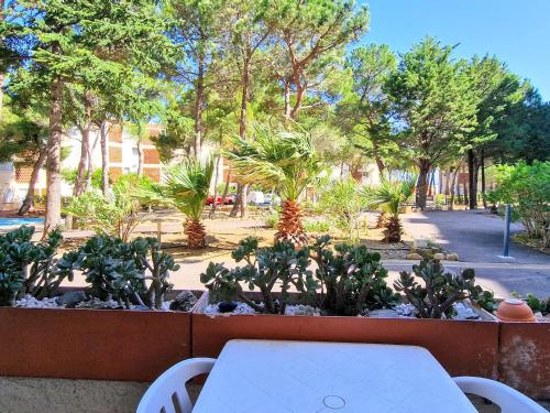 Appartement Banyuls-sur-Mer, 3 pièces, 6 personnes - FR-1-309-295 - Location saisonnière - Banyuls-sur-Mer