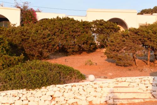 Junior paradise! Junior paradise!