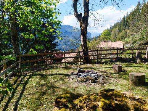 設施, Sonnenhof - Wengens Original Kurhaus in 上勒舒爾特瓦爾德