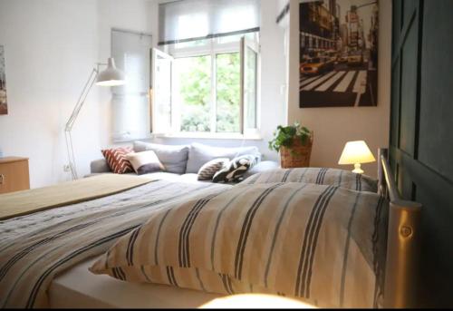 Cozy , Warm and Welcoming Room in the heart of Nürnberg, Nürnberg (Foto 3)
