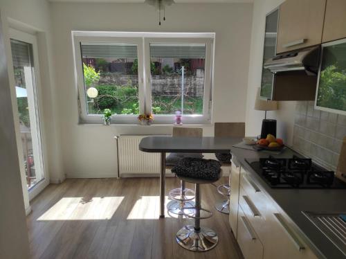 Apartman ZAGREB,REBRO,MAKSIMIR,CENTAR Marko Room Type - One-Bedroom Apartment