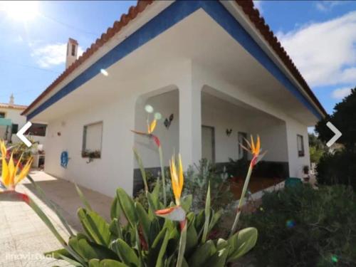 Sun house gîte à louer Corotelo