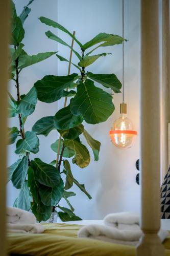 Luxurious & Stylish Kolonaki Haven, Atene (foto 7)
