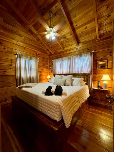 Heaven on Earth in Blue Ridge, USA