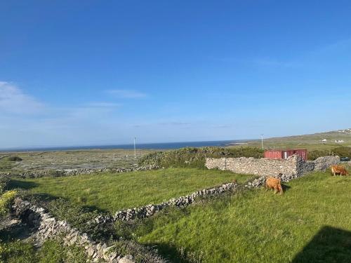 Two Bedroom Deluxe Sea View Guest Suite in 伊尼斯莫爾島