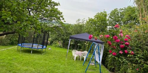 Studio Milisavljevic - Location saisonnière - Sokobanja