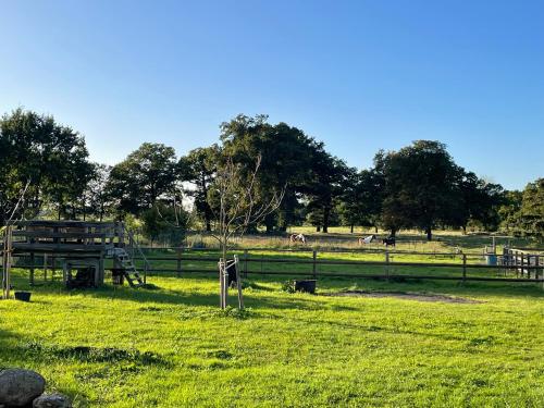 Ferienhof Bühne (Ferienhof Buhne) in 卡爾貝/米爾德