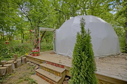 Dream Dome Getaway near Leesburg in Leesburg, USA