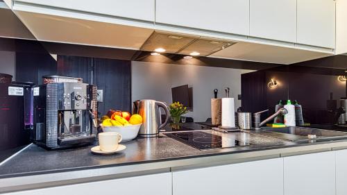 Apartament ZŁOTY Liść blisko Norweskiej Polany - 5D Apartamenty, Szklarska Poręba (foto 6)