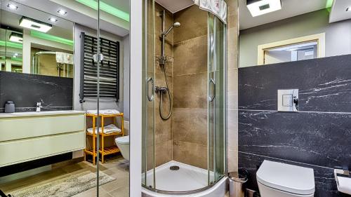 Apartament ZŁOTY Liść blisko Norweskiej Polany - 5D Apartamenty, Szklarska Poręba (foto 9)