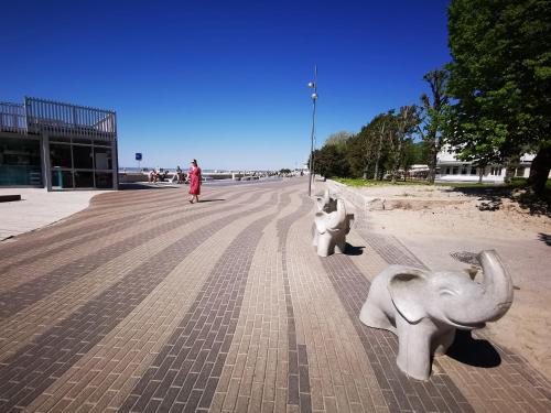 SEA VIEW APARTEMENT SEA VIEW APARTEMENT