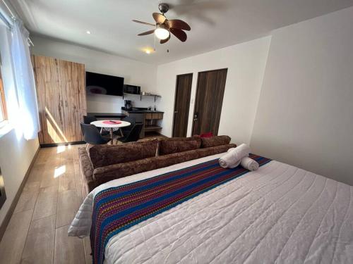 Dk5 Complete studio in La Zona Viva, Guatemala (foto 11)