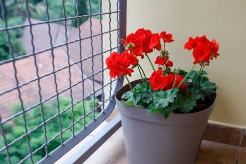 Special 2009 in Dudova Šuma