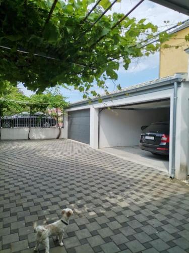 Apartments Josip