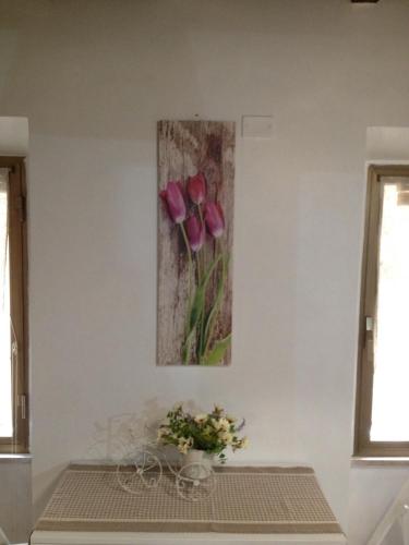 House&Colosseum - image 5