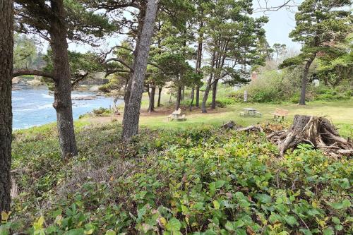 Ocean Front Condo Walk to Everything! Whale Watcher's Point - image 4