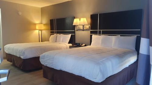 2 queen beds, 1 sofa bed