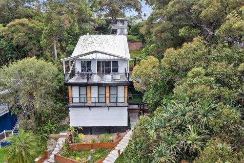 Adder View by Discover Stradbroke