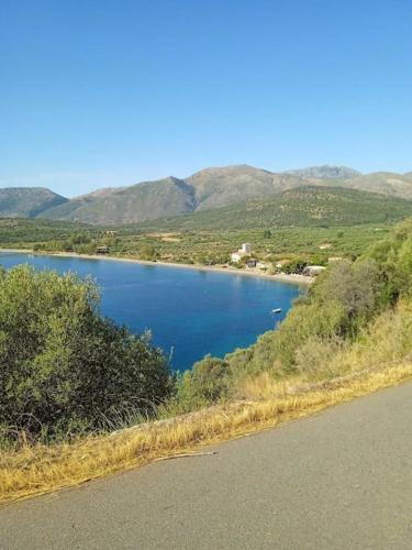 Niki's House Niki's House