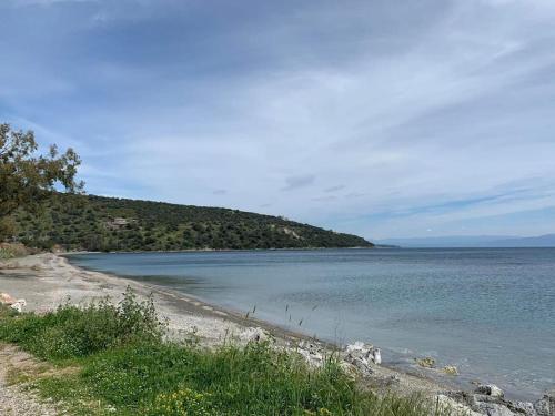 Niki's House Niki's House