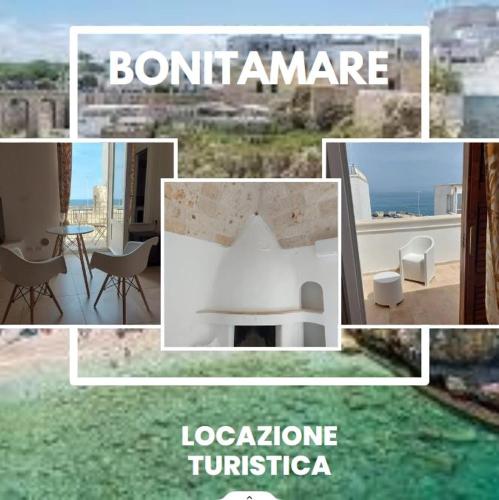 BonitAmarE