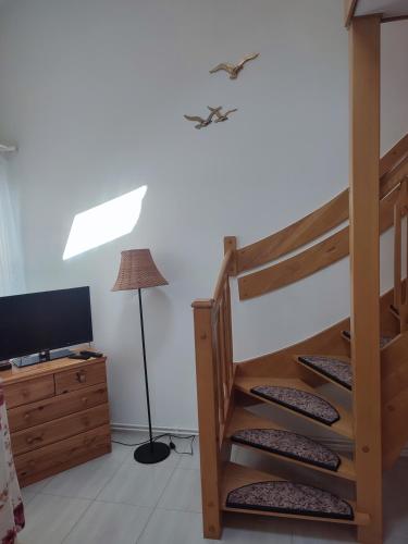 Pod Sosnami Pod Sosnami