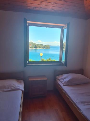 Apartment Zaglav 2 - first sea row Apartment Zaglav 2 - first sea row