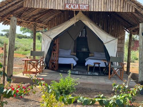 Amboseli Discovery Camp