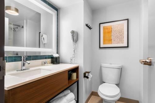 Comfort Inn & Suites York - image 10