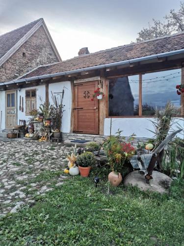 Casa Klein in Criț