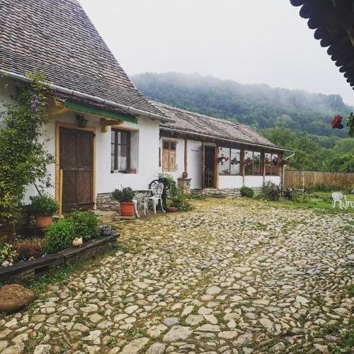 Casa Klein in Criț