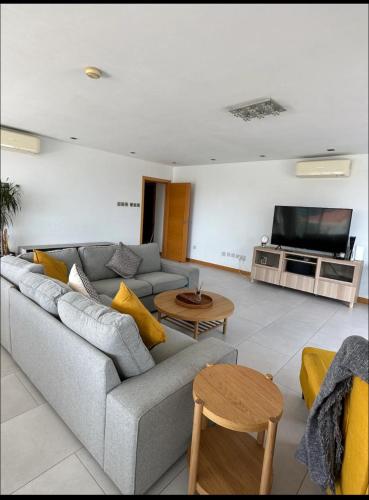 The Nelson penthouse