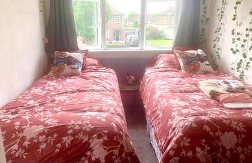 Large room in excellent location double or two singles, Dublin (fotografie 7)