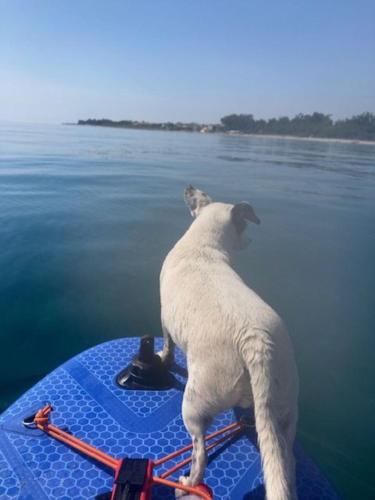 DOLCE VITA-Calme-Vue Mer in Chiatra