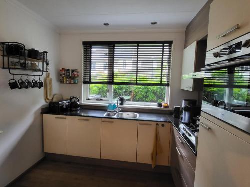 Witte Druif in Centrum