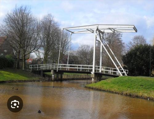 Witte Druif in Centrum